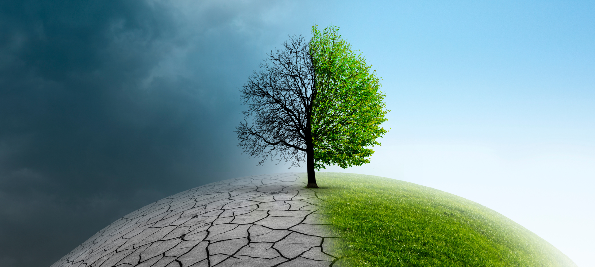 Come Gestire il Cambiamento in Modo Positivo