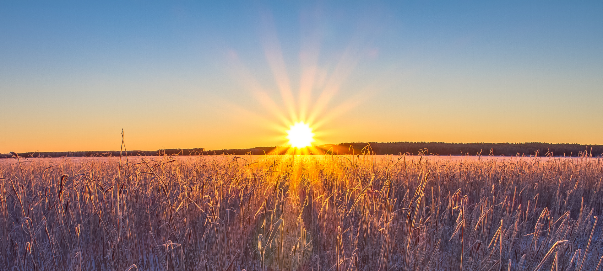 Mindfulness e CBT_ Un Connubio Vincente per il Benessere Mentale